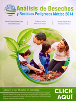 Artículo de Revista